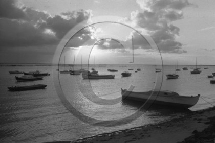arc 1951   .jpg