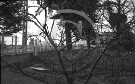 arc 4291 .jpg