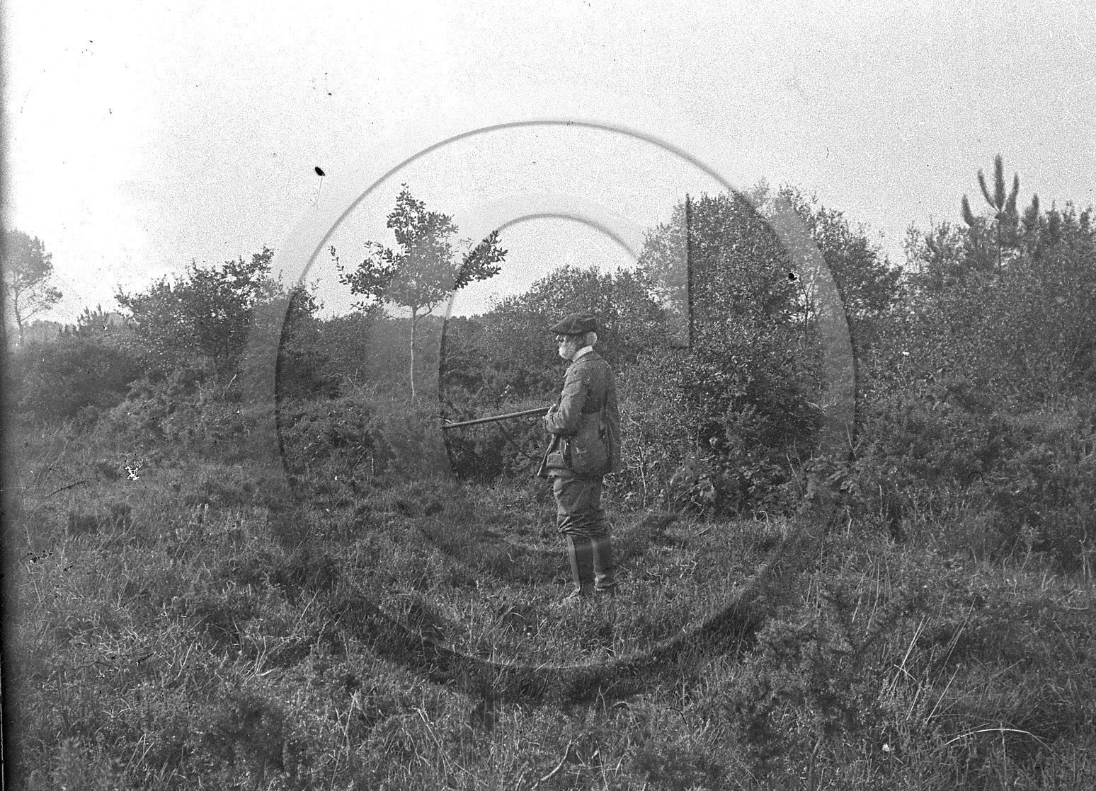 sl 270 chasse.jpg
