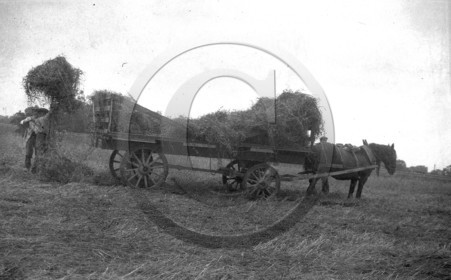 AG 8.jpg