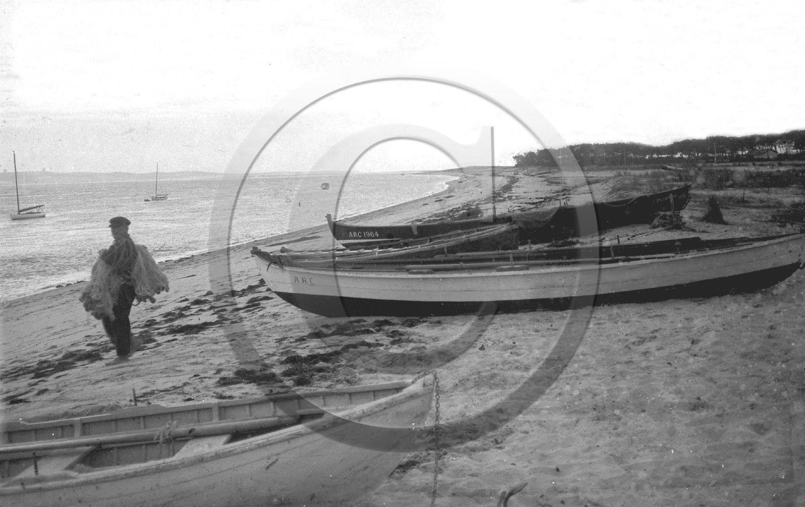 arc 3498.jpg