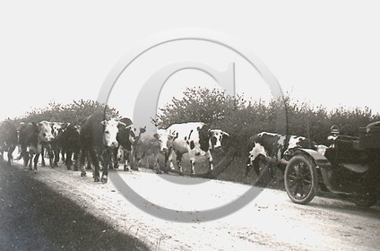 AG 36.jpg