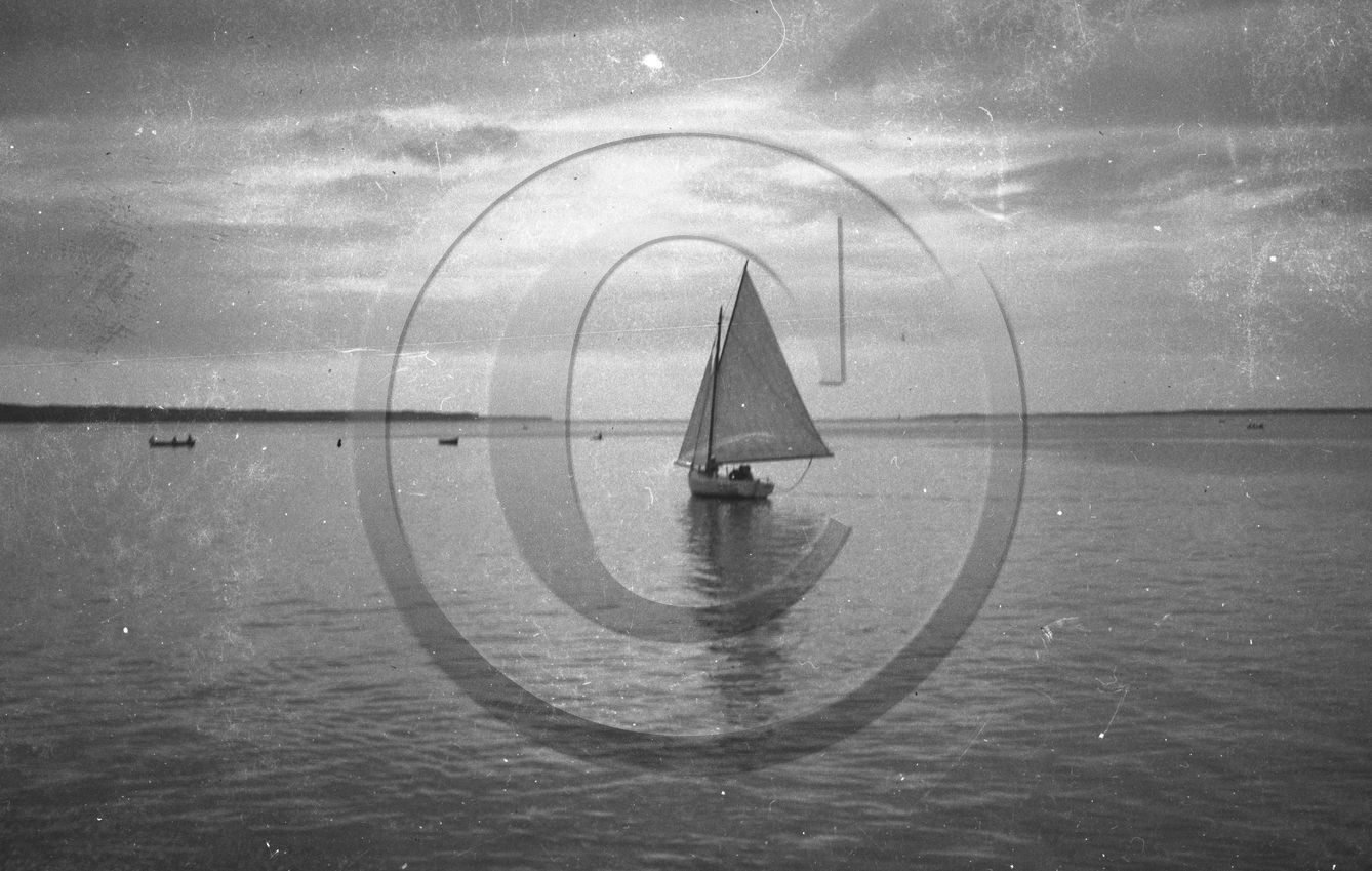 arc 3979.jpg