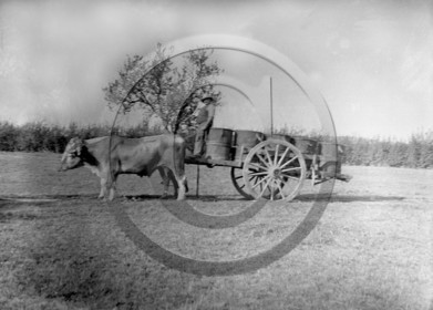 AG 539 .jpg