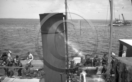 arc 1556.jpg