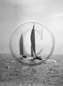 arc 1439.jpg