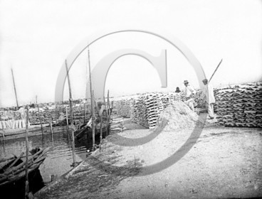 arc 1191.jpg