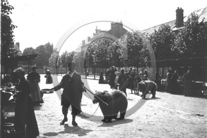 vi  87.jpg