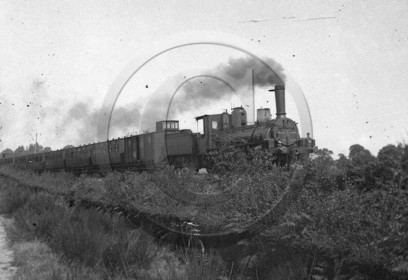 CH 41.jpg