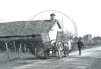 AG 35.jpg