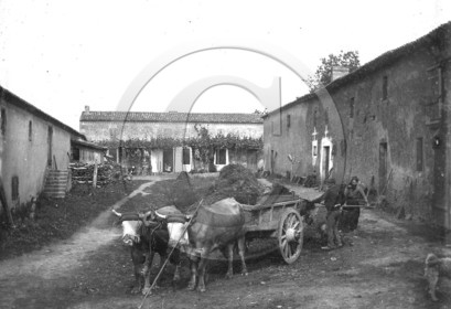 ag 378.jpg