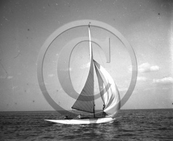 arc 1389.jpg
