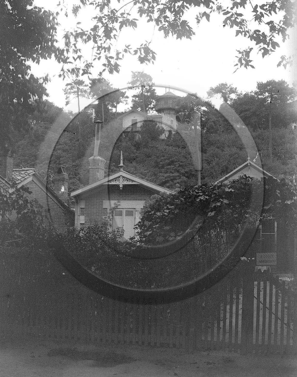 arc 2766.jpg
