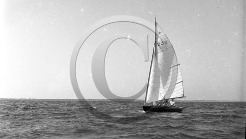 arc 1359.jpg