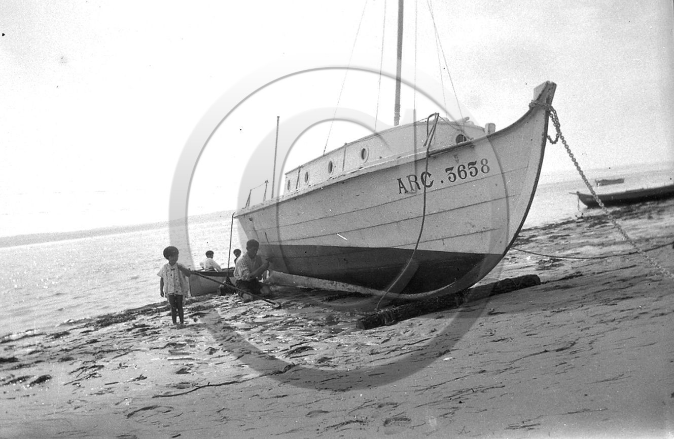 arc 1172.jpg