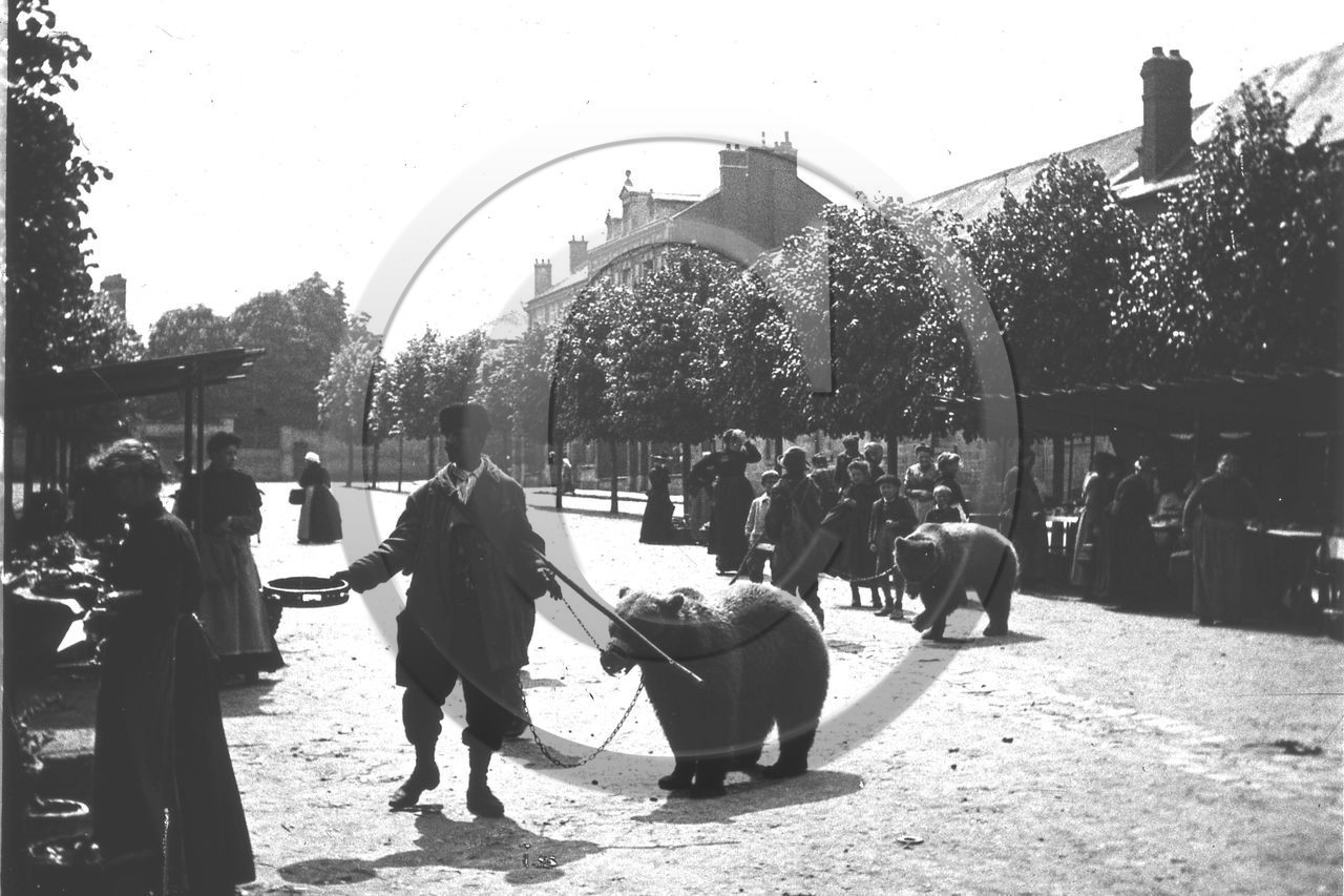 vi  87.jpg