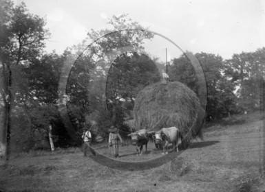 AG 678 .jpg