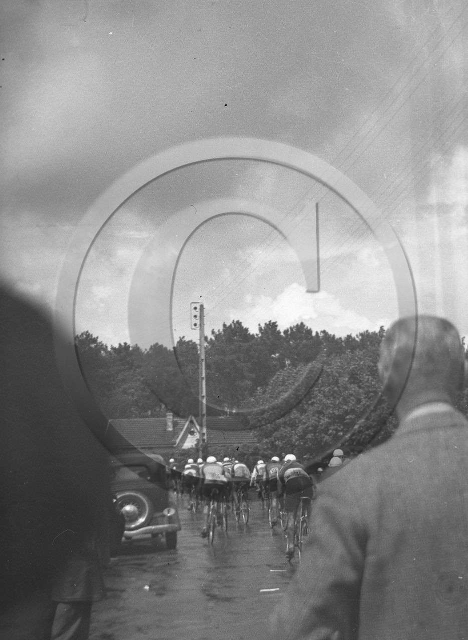 mov 199.jpg