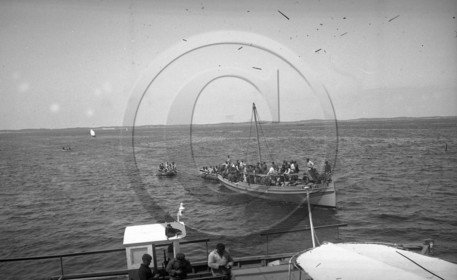 arc 1557.jpg