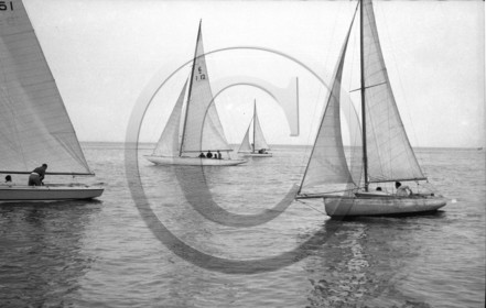 arc 3694.jpg