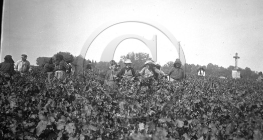 AG 237.jpg