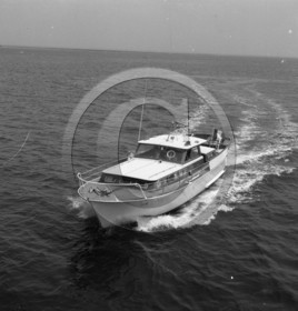 arc 1882 .jpg