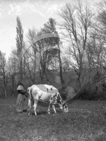 AG 390.jpg
