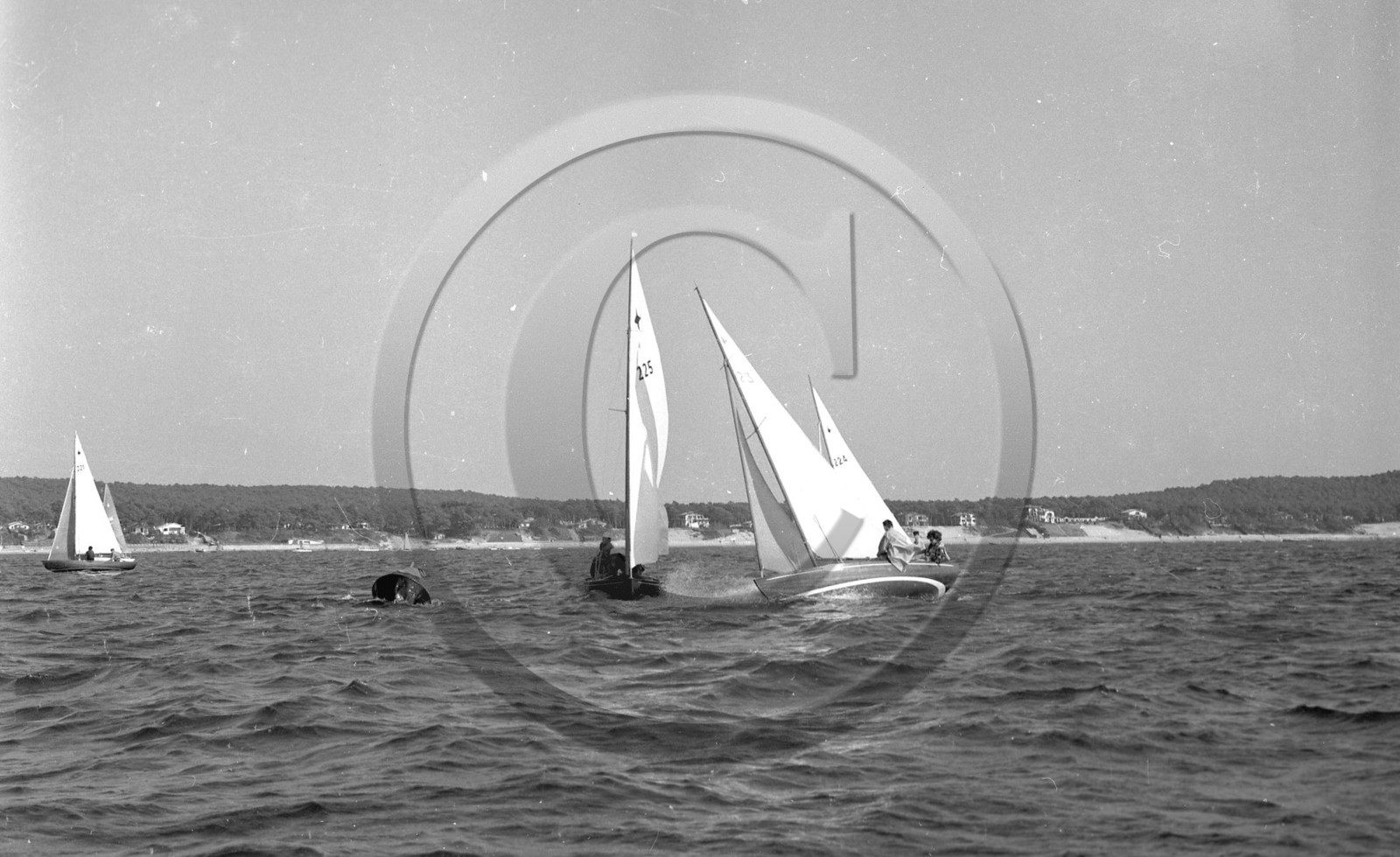 arc 1363.jpg
