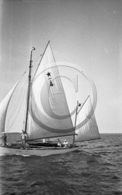 arc 4238  .jpg