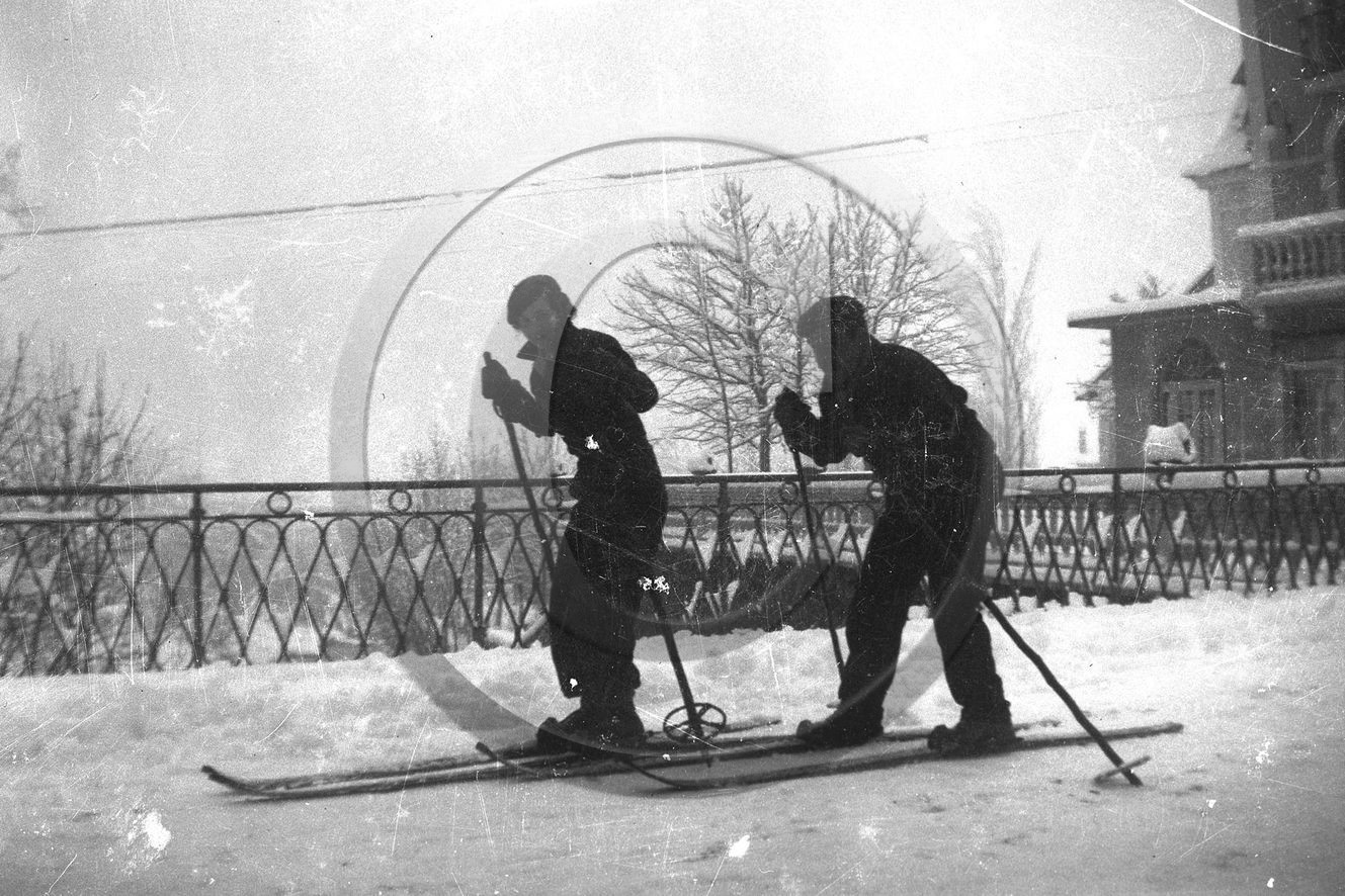 sl 260 ski.jpg