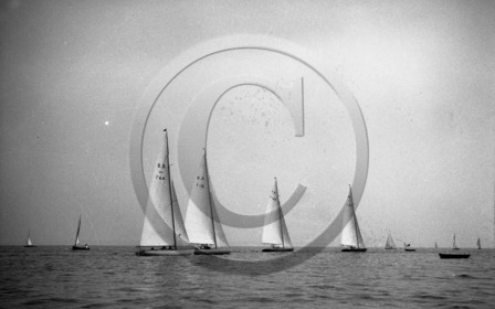 arc 3849.jpg