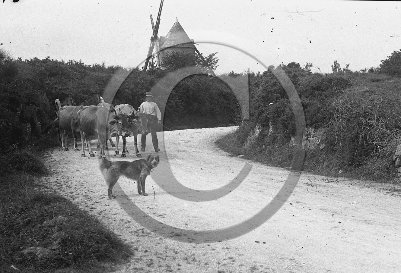 ag 311.jpg