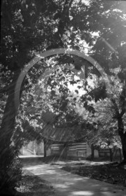 arc 4440 .jpg