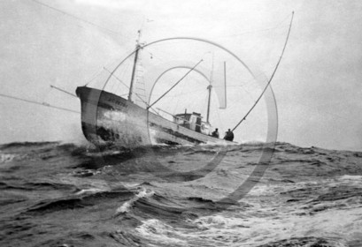 arc 1464.jpg