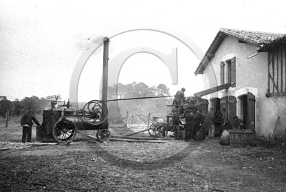 AG 291.jpg