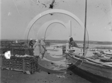 arc 4009 .jpg