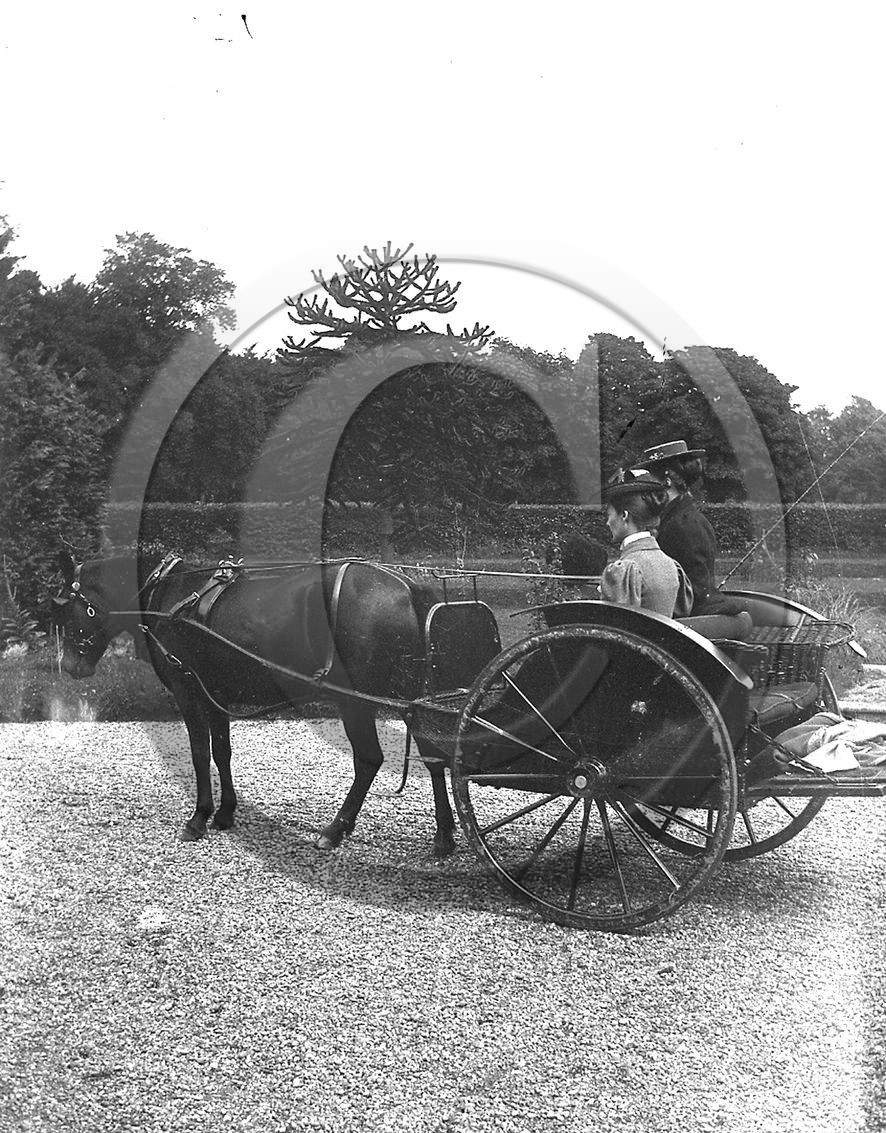 AG 465.jpg