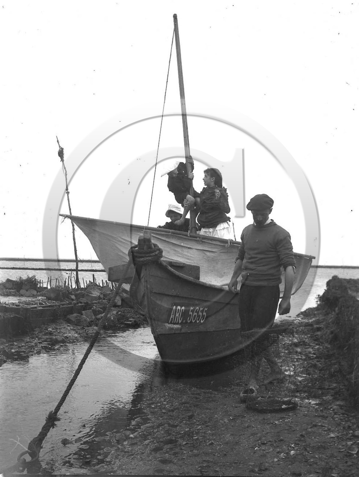 arc 3469.jpg