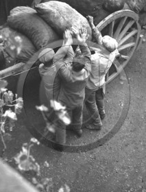 AG 458.jpg