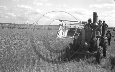 AG 184.jpg