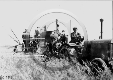 AG 193.jpg
