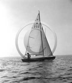 arc 1354.jpg