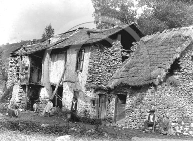 AG 49.jpg