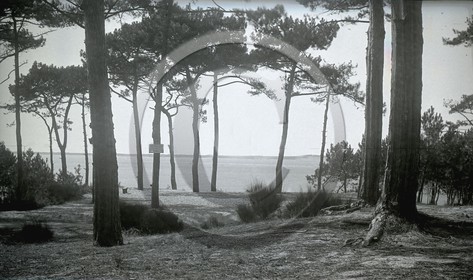 arc 1532.jpg