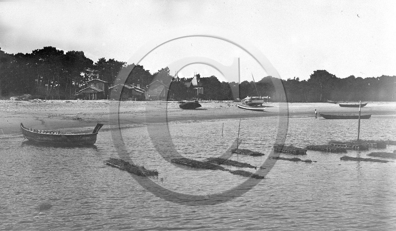 arc 2735.jpg