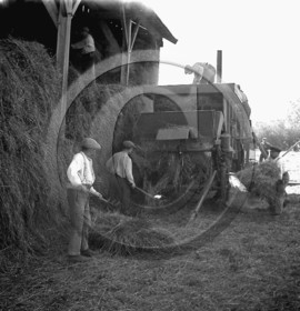 AG 170.jpg