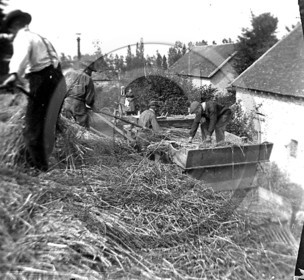 AG 350.jpg