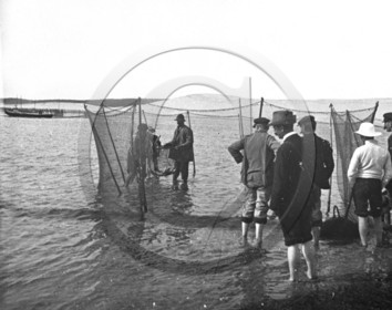 arc 1195.jpg