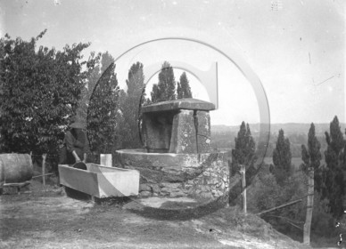 ag 517.jpg