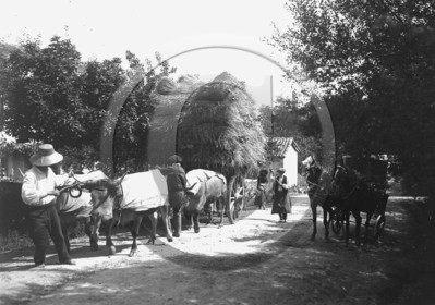 AG 288.jpg